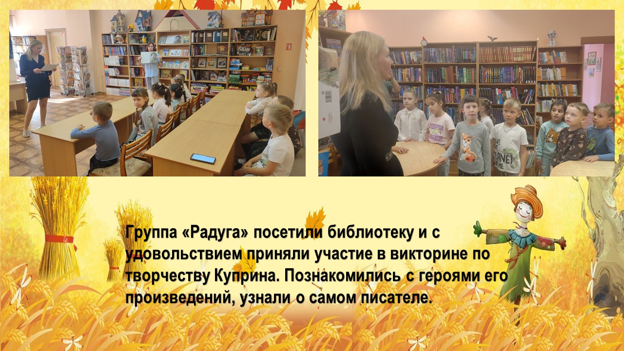 библиотека радуга 25