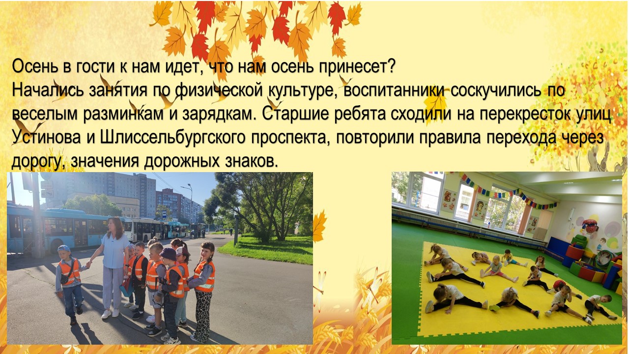 осенняя прогулка 25