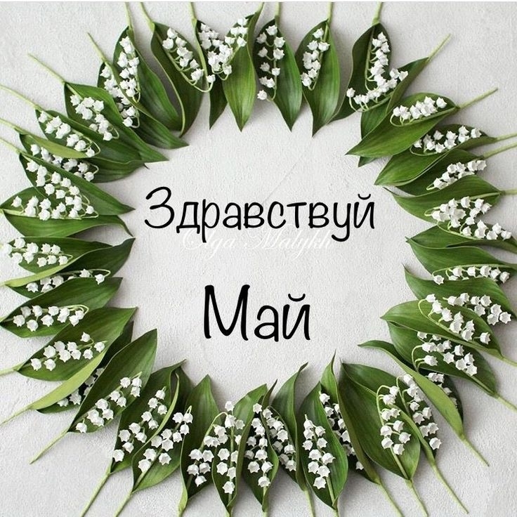 GkGf7JbBVORgpj2aKW0qwAi6yOAtTJASSwkyhRiH3ELHTFskU gSXMxJxsqmHPC0iB1dA 4dPHTCPk WSt4ur j