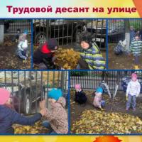 Новая папка44 (1)